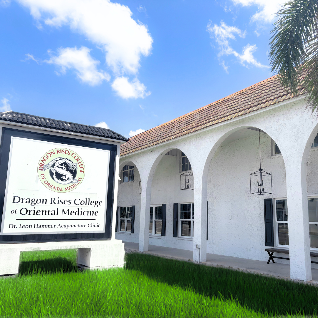 Change your life Dragon Rises College of Oriental Medicine
